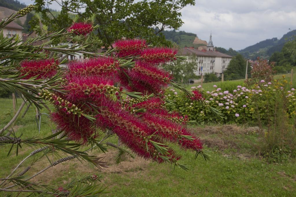 Agroturismo Ibarre Anzuola Bagian luar foto